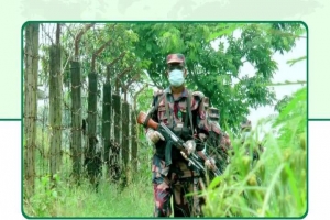 বড়লেখা সীমান্তে বিজিবির গুলিতে ১ ভারতীয় চোরাকারবারি আহত 