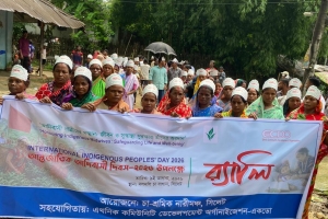 সিলেটে আদিবাসীদের সাংবিধানিক স্বীকৃতি ও &lsquo;সমতল ভূমি কমিশন&rsquo; গঠনের দাবি