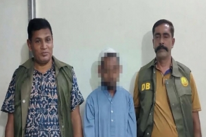  মোমিনখলায় ডিবির অভিযান, ট্যাপেন্টাডলসহ আটক ১