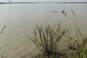 কানাইঘাটে সরকারি জলমহাল উদ্ধারে ডিসি ও  আদালতের শরণাপন্ন হলেন এলাকাবাসী 