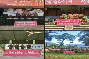 সিলেট সীমান্তে পৃথক অভিযানে ৮৫ লাখ টাকার ভারতীয় চোরাচালানি জব্দ