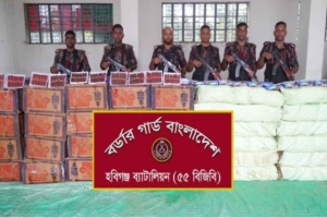 মাধবপুরে ৬৫ লাখ টাকার ভারতীয় চোরাচালানি পণ্য জব্দ