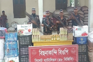 সিলেট সীমান্তে বিজিবির অভিযান, জব্দ সাড়ে ১৫ লাখ টাকার ভারতীয় পণ্য