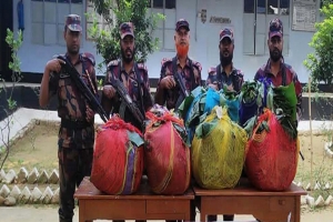 সিলেট সীমান্তে সাড়ে ৯ লাখ টাকার পণ্য জব্দ, ৪ মহিষও উদ্ধার