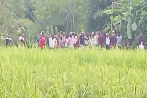 কানাইঘাটে দুই পক্ষের সংঘর্ষে আহত অর্ধশতাধিক, ওসমানী হাসপাতালে ২০ জন