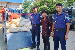 কানাইঘাটে ৯৬০ কেজি সালফারসহ পিকআপ জব্দ, গ্রেপ্তার ১