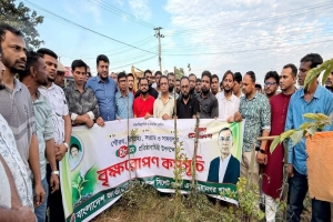 যুবদলের ৪৮তম প্রতিষ্ঠাবার্ষিকীতে সিলেট জেলা ও মহানগর যুবদলের বৃক্ষরোপণ কর্মসূচি পালন