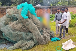 মাধবপুরে ৩ লাখ টাকার নিষিদ্ধ জাল পুড়িয়ে বিনষ্ট