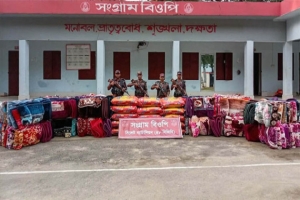 সিলেট সীমান্তে বিজিবির পৃথক অভিযান, জব্দ ৪৬ লাখ টাকার পণ্য