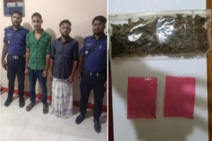 গোলাপগঞ্জে ইয়াবা ও গাঁজাসহ আটক ২ 